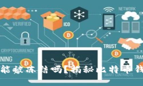 比特币钱包能被冻结吗？揭秘比特币钱包的安全性