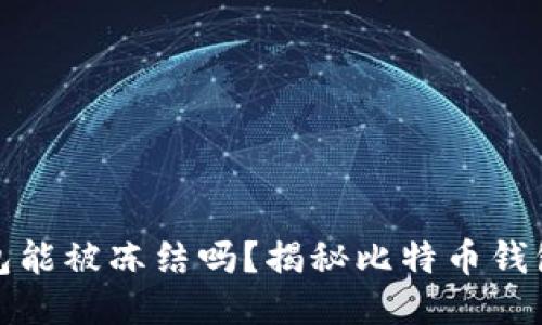 比特币钱包能被冻结吗？揭秘比特币钱包的安全性