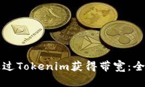 如何通过Tokenim获得带宽：全面指南