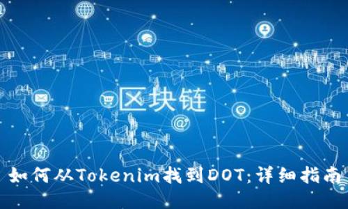 如何从Tokenim找到DOT：详细指南