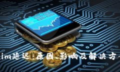 Tokenim延迟：原因、影响及