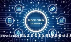 Tokentokenim钱包是否需要注