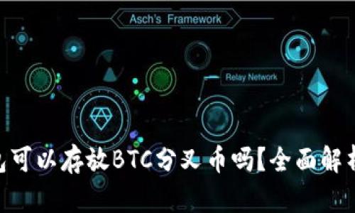 Tokenim钱包可以存放BTC分叉币吗？全面解析与使用指南