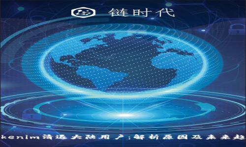 Tokenim清退大陆用户：解析原因及未来趋势