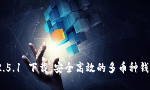 TokenIM 2.5.1 下载：安全高效的多币种钱包解决方案