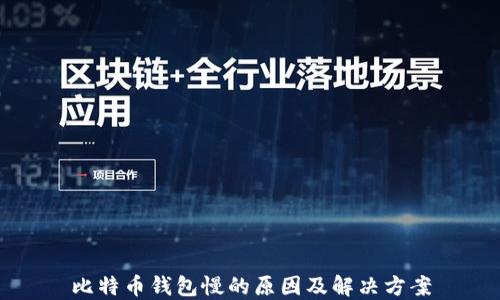 
比特币钱包慢的原因及解决方案