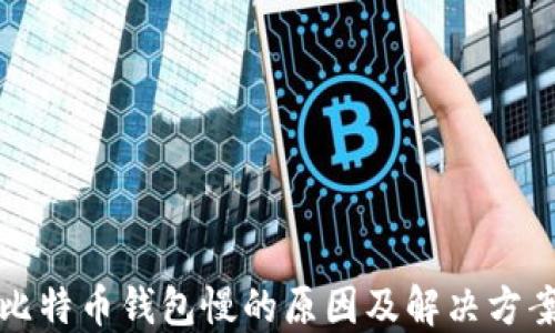 
比特币钱包慢的原因及解决方案