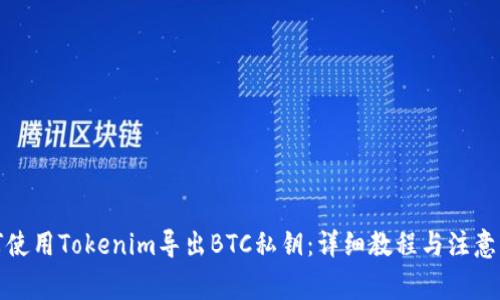 如何使用Tokenim导出BTC私钥：详细教程与注意事项