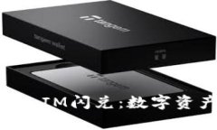 全面解析TokenIM闪兑：数字
