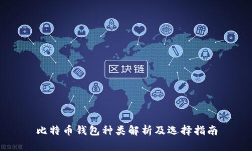 比特币钱包种类解析及选择指南