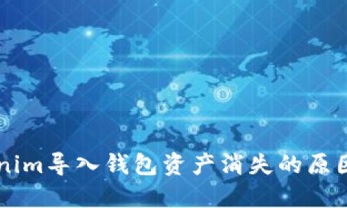 ### Tokenim导入钱包资产消失的原因及解决办法