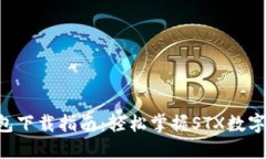 STX币钱包下载指南：轻松
