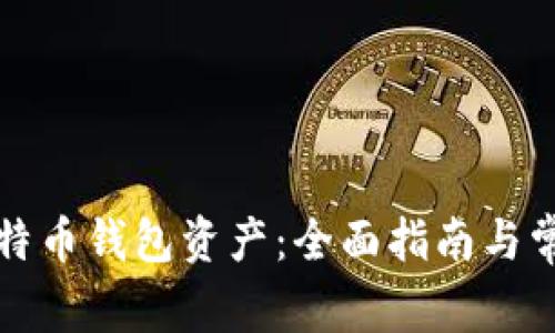 如何查看比特币钱包资产：全面指南与常见问题解答