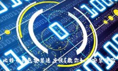 比特币钱包安装速度慢？
