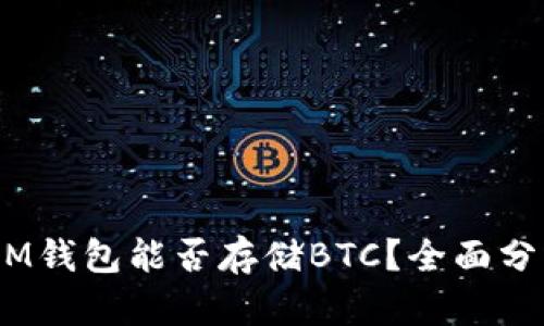 TokenTokenIM钱包能否存储BTC？全面分析与用户指南