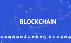 全面解析比特币与数字钱