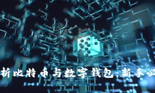 全面解析比特币与数字钱包：新手必看指南