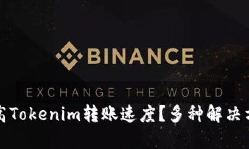 如何提高Tokenim转账速度？多种解决方案解析