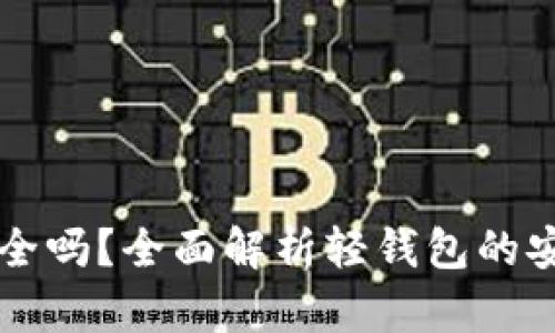 比特币轻钱包安全吗？全面解析轻钱包的安全性与使用指南