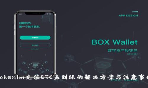 Tokenim充值ETC未到账的解决方案与注意事项