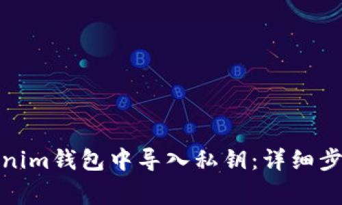 : 如何在Tokenim钱包中导入私钥：详细步骤和注意事项