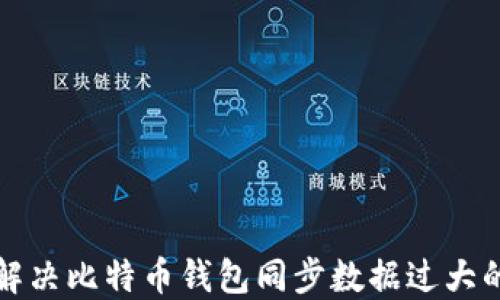 
如何解决比特币钱包同步数据过大的问题