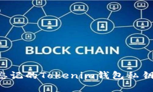 如何找回忘记的Tokenim钱包私钥：完整指南