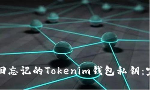 如何找回忘记的Tokenim钱包私钥：完整指南