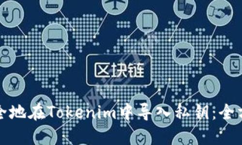 如何安全地在Tokenim中导入私钥：全方位指南