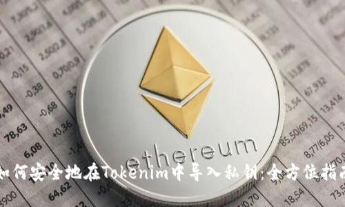 如何安全地在Tokenim中导入私钥：全方位指南