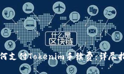 如何支付Tokenim手续费：详尽指南