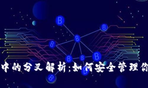 比特币钱包中的分叉解析：如何安全管理你的数字资产