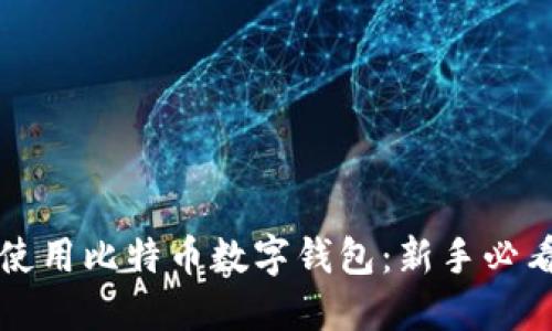 如何使用比特币数字钱包：新手必看指南