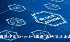 美国区下架Tokenim：原因、