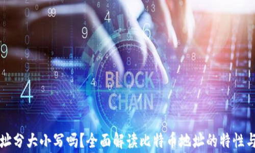 
比特币钱包地址分大小写吗？全面解读比特币地址的特性与使用注意事项