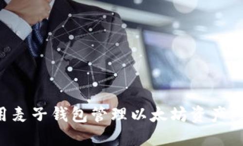 如何使用麦子钱包管理以太坊资产：新手指南