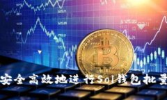  如何安全高效地进行Sol钱