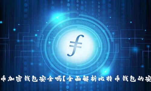 比特币加密钱包安全吗？全面解析比特币钱包的安全性