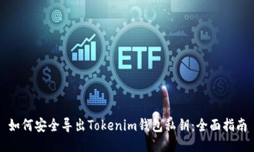 如何安全导出Tokenim钱包私钥：全面指南