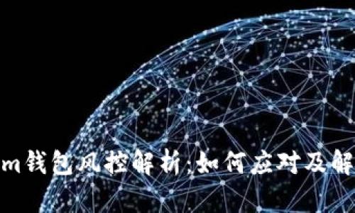 Tokenim钱包风控解析：如何应对及解决策略