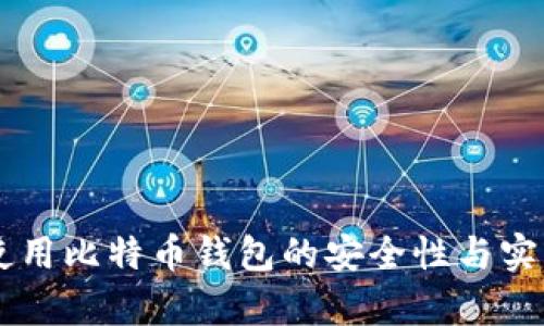 手机上使用比特币钱包的安全性与实用性分析