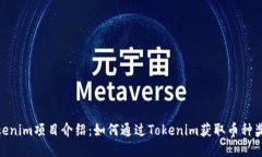 Tokenim项目介绍：如何通过