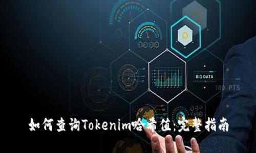 如何查询Tokenim哈希值：完整指南