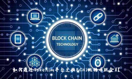 如何通过Tokenim平台兑换BCH（比特币现金）？