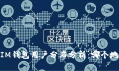TokenTokenIM钱包用户分布分