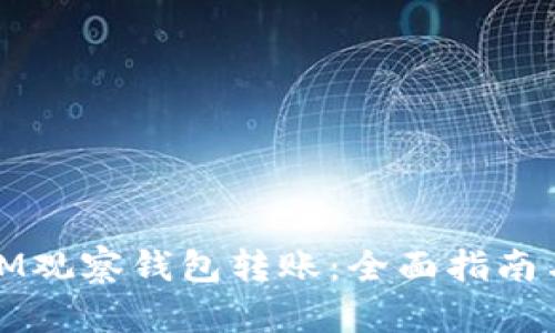 如何使用IM观察钱包转账：全面指南与实用技巧