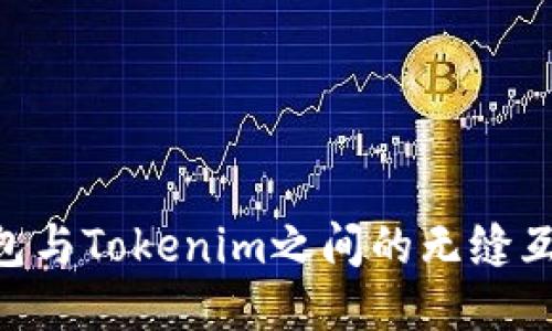 DOT钱包与Tokenim之间的无缝互转指南