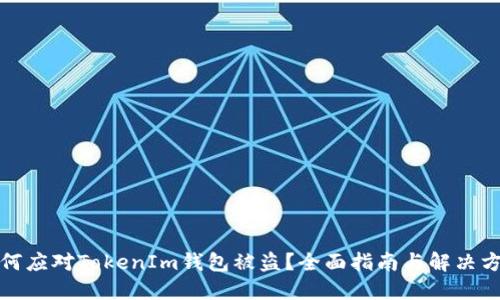 如何应对TokenIm钱包被盗？全面指南与解决方案