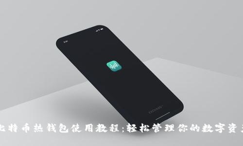 比特币热钱包使用教程：轻松管理你的数字资产