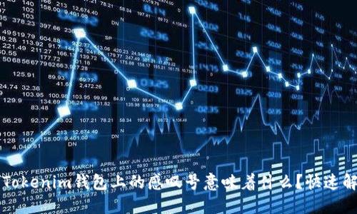 ### Tokenim钱包上的感叹号意味着什么？快速解决指南